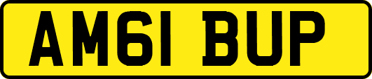 AM61BUP