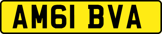 AM61BVA