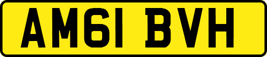 AM61BVH