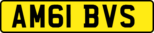 AM61BVS