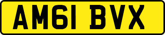 AM61BVX