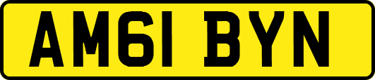 AM61BYN