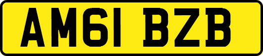 AM61BZB