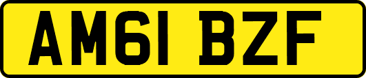AM61BZF