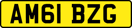 AM61BZG