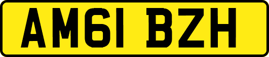 AM61BZH