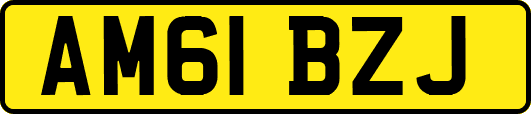AM61BZJ