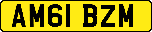 AM61BZM