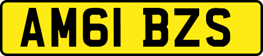 AM61BZS