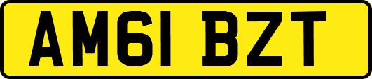 AM61BZT