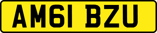 AM61BZU