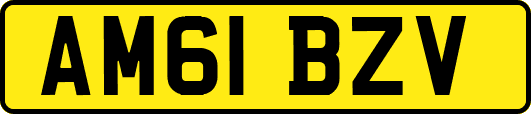 AM61BZV