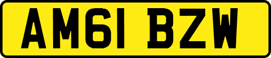 AM61BZW