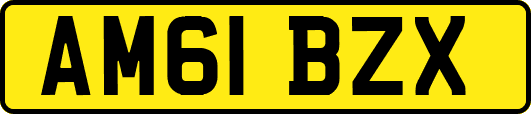 AM61BZX