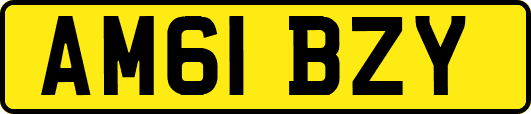 AM61BZY