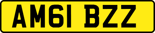 AM61BZZ