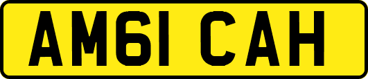 AM61CAH