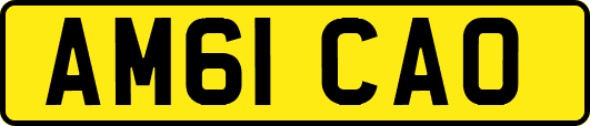 AM61CAO