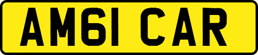 AM61CAR