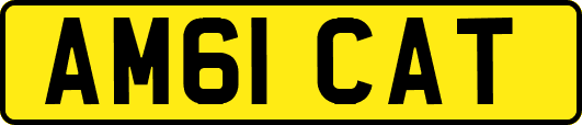 AM61CAT