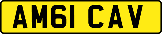 AM61CAV