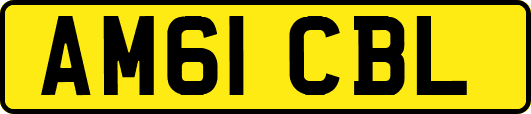 AM61CBL