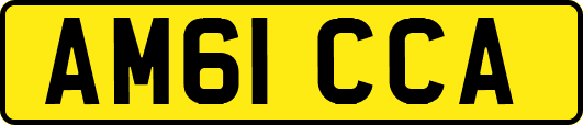 AM61CCA