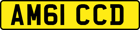 AM61CCD
