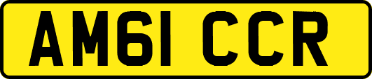 AM61CCR
