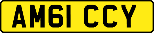 AM61CCY