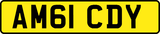 AM61CDY