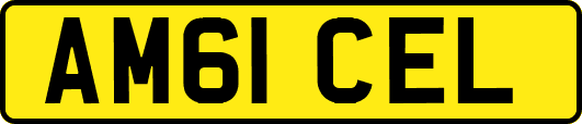 AM61CEL