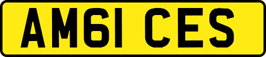 AM61CES