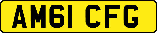 AM61CFG