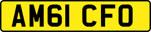 AM61CFO