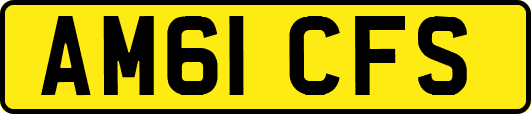 AM61CFS