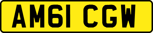 AM61CGW