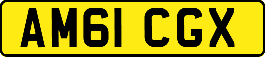 AM61CGX