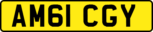 AM61CGY