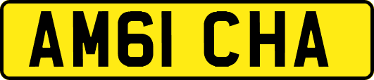 AM61CHA