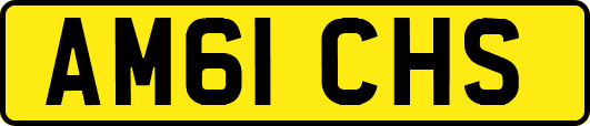 AM61CHS