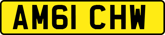 AM61CHW