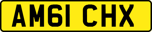 AM61CHX