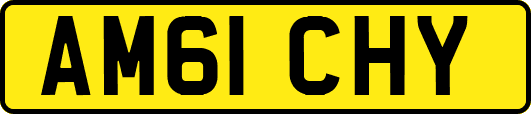 AM61CHY