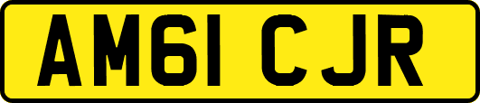 AM61CJR