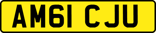 AM61CJU