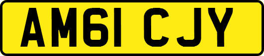 AM61CJY