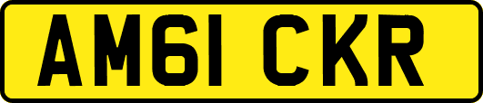 AM61CKR