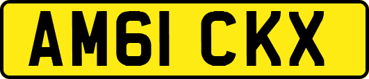 AM61CKX