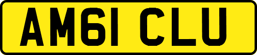 AM61CLU